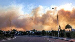 Imagens de drone mostram dimensão do incêndio que deflagrou no Parque Natural de Sintra-Cascais