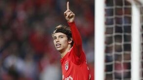Fernando Meira vê Félix no Galatasaray mas atira: «Mais dia, menos dia voltará ao Benfica»