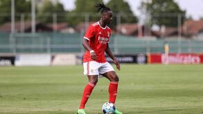 Meité treina a central