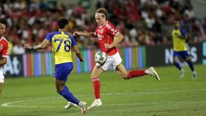 Schjelderup soma pontos: equipa técnica do Benfica encantada com o jovem norueguês