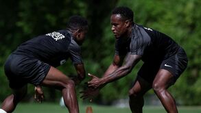 Jovane e Geny Catamo avaliam o mercado