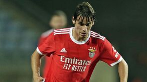 Paulo Bernardo ainda por resolver no Benfica