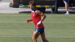 Roger Schmidt: «João Félix? A sua evolução se calhar não foi o que esperavam...»