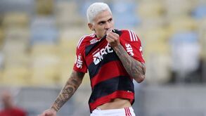Preparador físico do Flamengo agride Pedro com soco na boca: jogadores ameaçam não treinar