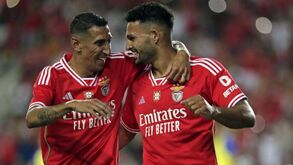 O onze do Benfica para o jogo com o Feyenoord
