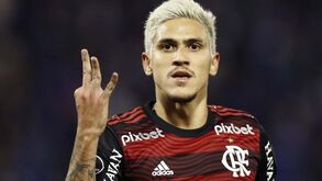 Flamengo despede preparador físico que agrediu Pedro mas pune o jogador