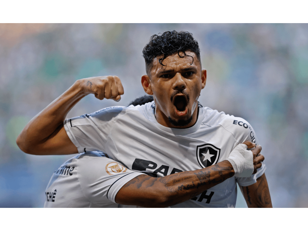 PRÉVIA: Botafogo x América-MG; confira análise e principais estatísticas