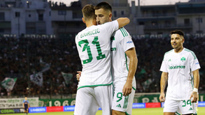 Sporar e Djuricic apuram Panathinaikos para a 3.ª pré-eliminatória da Champions