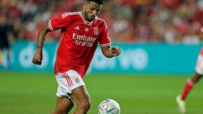 PSG é cenário cada vez mais real para Gonçalo Ramos