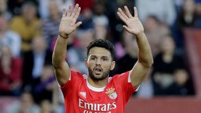 Transferência de Gonçalo Ramos para o Paris SG fechada nas próximas horas
