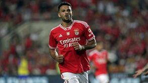 Todos os contornos do negócio: Gonçalo Ramos vai ser emprestado ao PSG com compra obrigatória