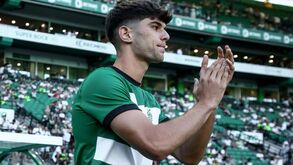 Rodrigo Ribeiro em vez de Chermiti: Sporting rumou a Liverpool já sem o futuro reforço do Everton