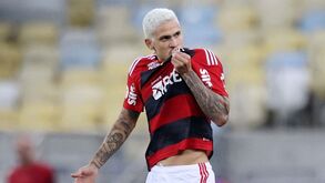 Presidente do Flamengo aponta aos 100M€: «Se o Benfica está interessado, basta pagar a cláusula»