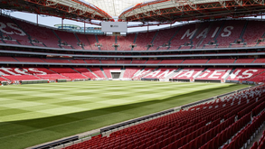 Luz recebeu outro concerto