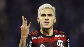 Flamengo recusou proposta de 18 milhões de euros do Benfica por Pedro, dizem brasileiros