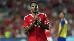Gonçalo Ramos fechado no Paris SG: Benfica recebe já 20 milhões de euros