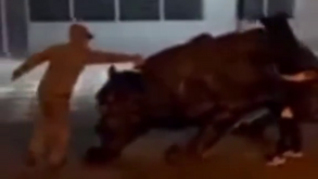 Divulgado vídeo onde dois adeptos aparecem a vandalizar a pantera do Boavista