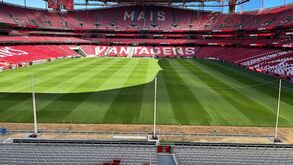 Benfica coloca redes de proteção atrás das balizas da Luz durante o aquecimento