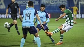 Lotação esgotada em Alvalade para a estreia do Sporting em 2023/24