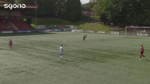 Já tínhamos saudades de frangos assim: este aconteceu no País de Gales...