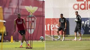 Reforços do Benfica aquecem para o Bessa