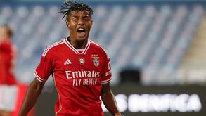 Schmidt confirma: «Neres está recuperado»