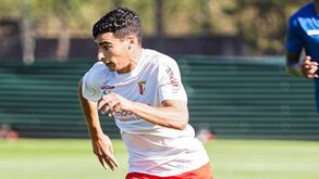 Costinha pronto para triunfar