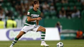 Bragança regressa a 100%