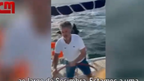Grupo de orcas ataca veleiro em Sesimbra