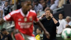 Gaspar Ramos sobre Schmidt: «Mostrou que tem dificuldades em gerir a equipa em campo»