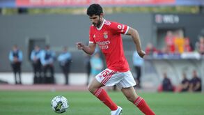 Schmidt sobre Gonçalo Guedes: «Se houver oportunidade para voltar a integrá-lo... Gosto muito dele»