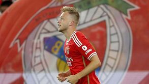 Tensgstedt: «Sonhava com este momento há muito tempo»