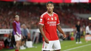 David Neres: «Estou determinado em ajudar o Benfica e fazer os fãs felizes»