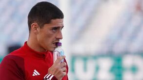 Tiago Gouveia fica: Era pretendido pelo Cádiz mas garante lugar no plantel do Benfica