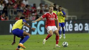 Tiago Gouveia garante lugar no plantel do Benfica e Schjelderup é para sair