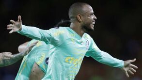 Palmeiras de Abel Ferreira goleia na Libertadores e fica com um pé nas 'meias'