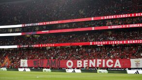 Comportamento do público obriga Benfica a pagar mais de 7 mil euros