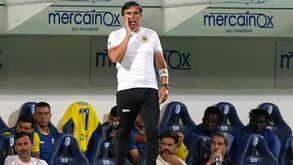 Daniel Ramos: «Respeitamos o Portimonense pelo seu melhor» 