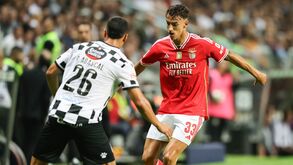 Bolonha insiste para levar Musa