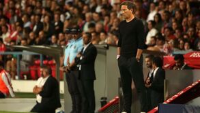 Roger Schmidt: «Podemos aprender algumas coisas com este jogo»