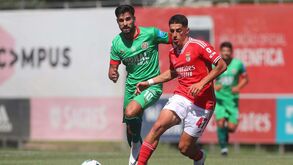 Benfica B-Marítimo, 0-1: Xadas decide e Tiago Gouveia em foco nas jovens águias