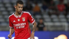 Benfica com mais três dossiês para solucionar além de Vlachodimos