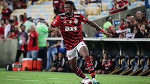 Flamengo cede André ao E. Amadora