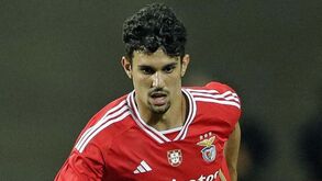 Tomás Araújo na porta de saída