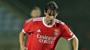 Celtic tenta contratar Paulo Bernardo