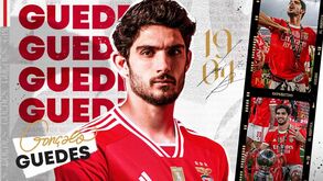 Gonçalo Guedes: «Mais um ano a vestir o manto sagrado»