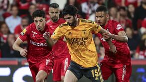 Gonçalo Guedes continua na Luz e Benfica já sabe quando vai regressar à ação