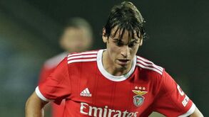 Celtic tenta Paulo Bernardo