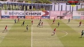 Médio dos juniores do Benfica marcou este golaço do meio-campo frente ao Lusitânia