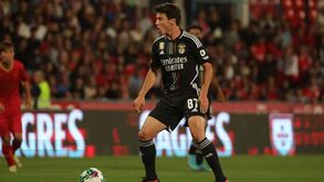Ingleses falam em conversas entre Benfica e Manchester United por João Neves